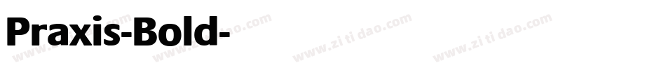 Praxis-Bold字体转换