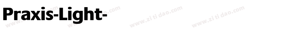 Praxis-Light字体转换