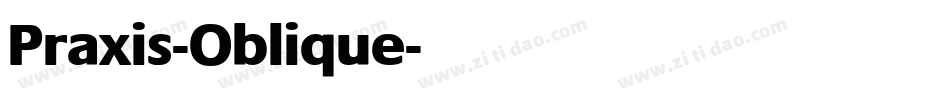 Praxis-Oblique字体转换
