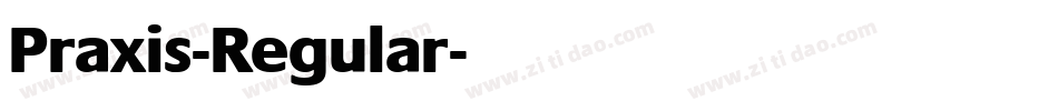 Praxis-Regular字体转换