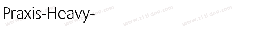 Praxis-Heavy字体转换