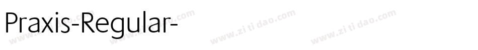Praxis-Regular字体转换