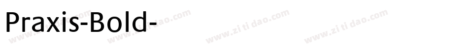 Praxis-Bold字体转换