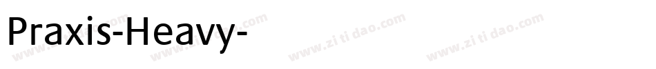 Praxis-Heavy字体转换