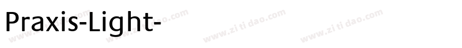 Praxis-Light字体转换