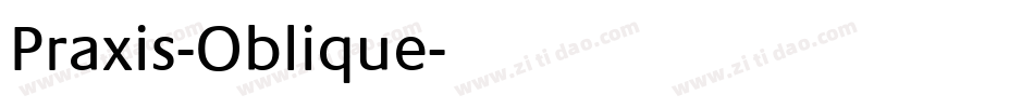 Praxis-Oblique字体转换