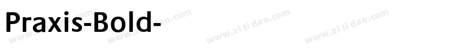Praxis-Bold字体转换