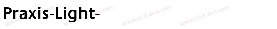 Praxis-Light字体转换