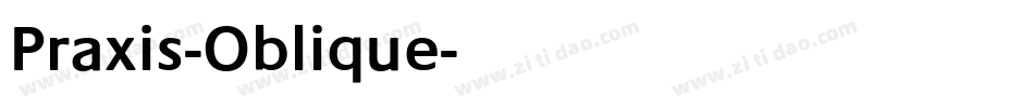 Praxis-Oblique字体转换