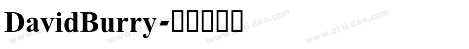 DavidBurry字体转换