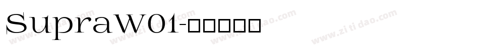 SupraW01字体转换