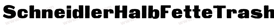 SchneidlerHalbFetteTrash-m5Km字体转换