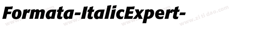 Formata-ItalicExpert字体转换