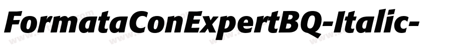 FormataConExpertBQ-Italic字体转换