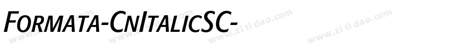 Formata-CnItalicSC字体转换