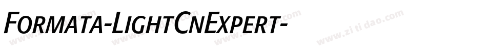 Formata-LightCnExpert字体转换