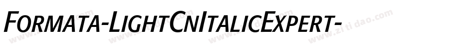 Formata-LightCnItalicExpert字体转换