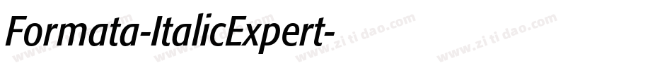 Formata-ItalicExpert字体转换