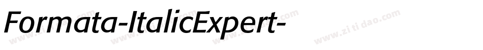 Formata-ItalicExpert字体转换