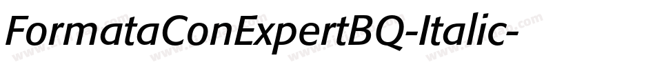 FormataConExpertBQ-Italic字体转换