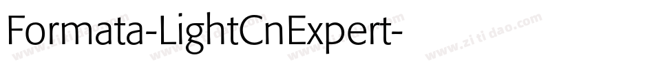 Formata-LightCnExpert字体转换