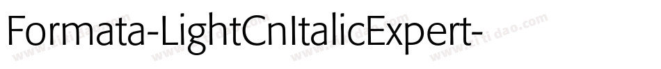 Formata-LightCnItalicExpert字体转换