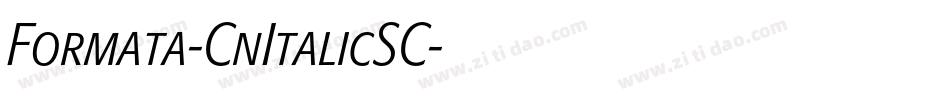 Formata-CnItalicSC字体转换