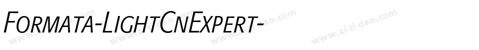 Formata-LightCnExpert字体转换