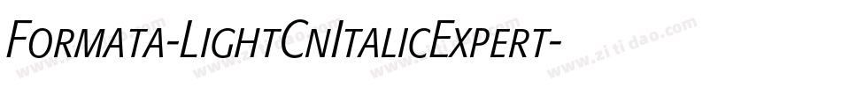 Formata-LightCnItalicExpert字体转换