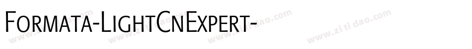 Formata-LightCnExpert字体转换