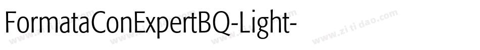 FormataConExpertBQ-Light字体转换
