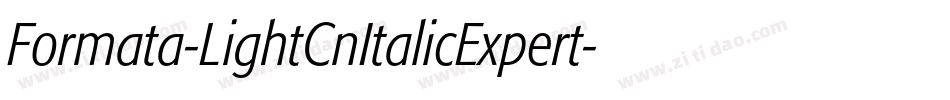 Formata-LightCnItalicExpert字体转换