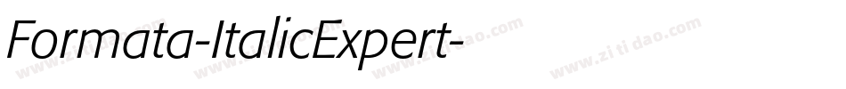 Formata-ItalicExpert字体转换