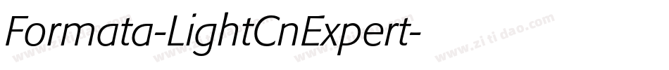 Formata-LightCnExpert字体转换