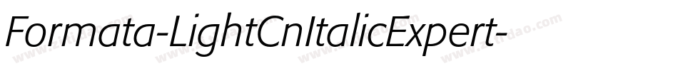 Formata-LightCnItalicExpert字体转换