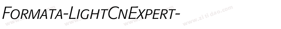 Formata-LightCnExpert字体转换