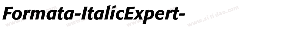 Formata-ItalicExpert字体转换