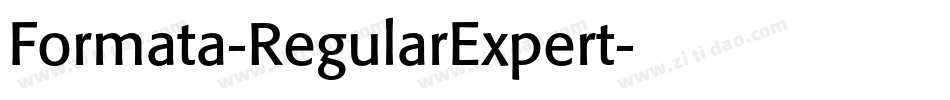 Formata-RegularExpert字体转换