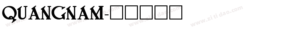 QUANGNAM字体转换