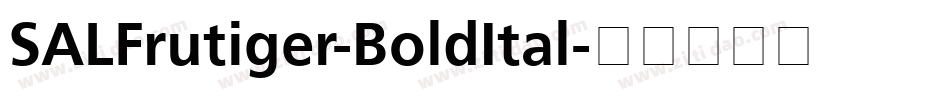 SALFrutiger-BoldItal字体转换