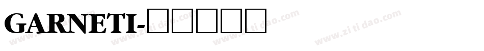 GARNETI字体转换