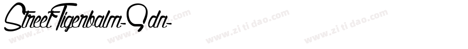 StreetTigerbalm-9dn字体转换
