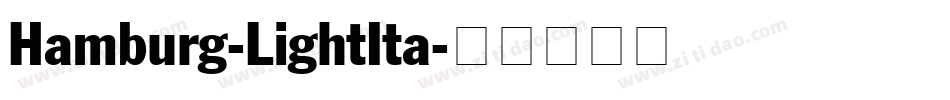 Hamburg-LightIta字体转换