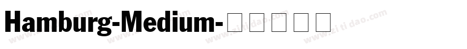 Hamburg-Medium字体转换