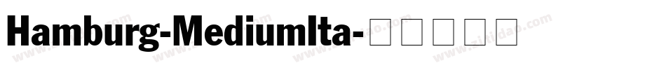 Hamburg-MediumIta字体转换