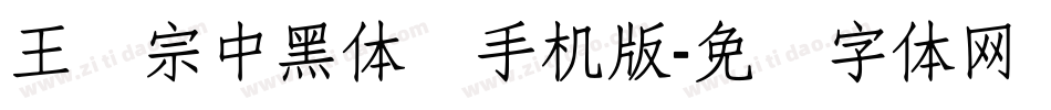 王汉宗中黑体简手机版字体转换