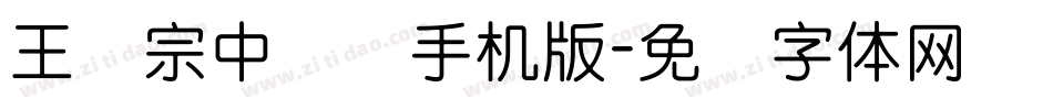 王汉宗中圆艺手机版字体转换
