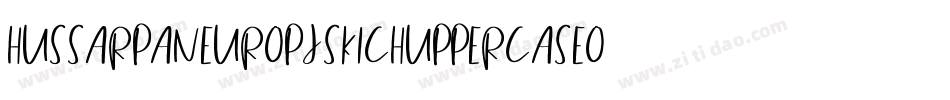 HussarPaneuropjskichUppercaseOblique-PLrm字体转换