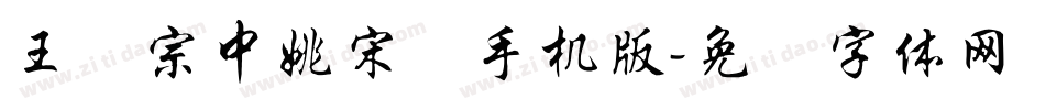 王汉宗中姚宋简手机版字体转换