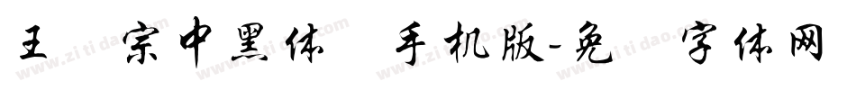 王汉宗中黑体简手机版字体转换